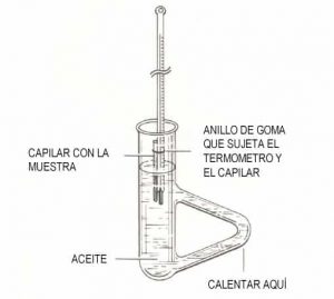 Utilización Tubo Thiele