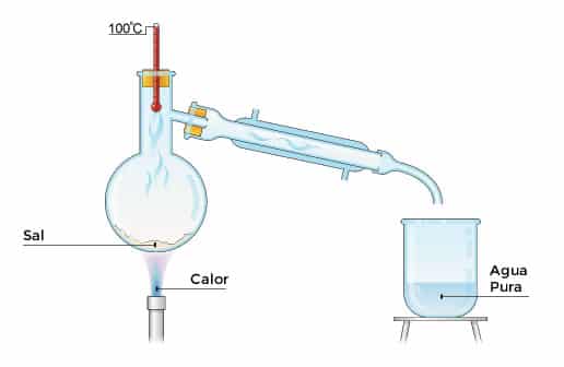 Paso 3: Finalmente la totalidad de agua se condensa en un recipiente separado . La sal no se evapora y se queda en el matraz.