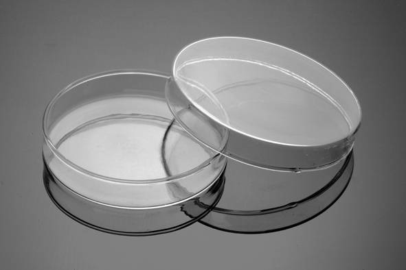 Placa de Petri » TP - Laboratorio Químico