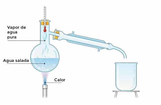 Paso 1 : La solución de agua y sal se calienta generando vapor de agua.