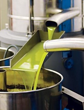 Esta técnica también es utilizada en la elaboración del aceites de oliva. En este caso las aceitunas trituradas y molidas son introducidas en la centrifuga donde se separará el aceite, que es menos pesado que los otros componentes de la aceituna como la pulpa y el carozo.