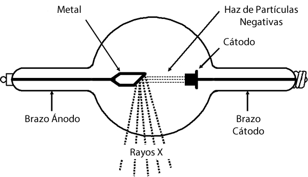 Los rayos X se generan en el interior de un tubo de descarga, cuando colisiona un haz de rayos catódicos con un blanco metálico (trozo de metal) dispuesto entre ambos electrodos. Los electrones provenientes del rayo catódico inciden sobre el metal, excitando sus propios electrones, generando una radiación de frenado de alta frecuencia denominada rayo X.