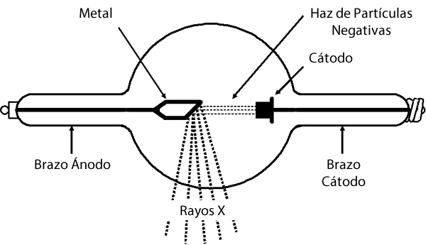 Los rayos X se generan en el interior de un tubo de descarga, cuando colisiona un haz de rayos catódicos con un blanco metálico (trozo de metal) dispuesto entre ambos electrodos. Los electrones provenientes del rayo catódico inciden sobre el metal, excitando sus propios electrones, generando una radiación de frenado de alta frecuencia denominada rayo X.