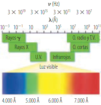 El espectro electromagnético. Observa que solo una pequeña parte del espectro es visible para el ojo humano