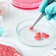 Italia se convierte en el primer país europeo en prohibir los alimentos cultivados en laboratorio