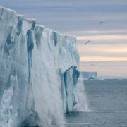 Investigan la relación entre el derretemiento de glaciares y la presencia de plomo en aguas costeras polares