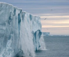 Investigan la relación entre el derretemiento de glaciares y la presencia de plomo en aguas costeras polares