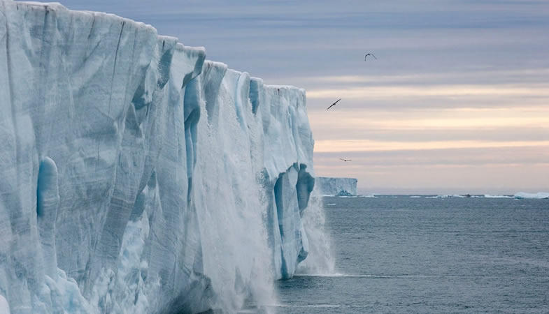 Investigan la relación entre el derretemiento de glaciares y la presencia de plomo en aguas costeras polares